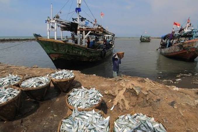 Berencana Dorong Perekonomian Nelayan, PT Jakpro Ingin Bangun Restoran Seafood di Pulau Reklamasi